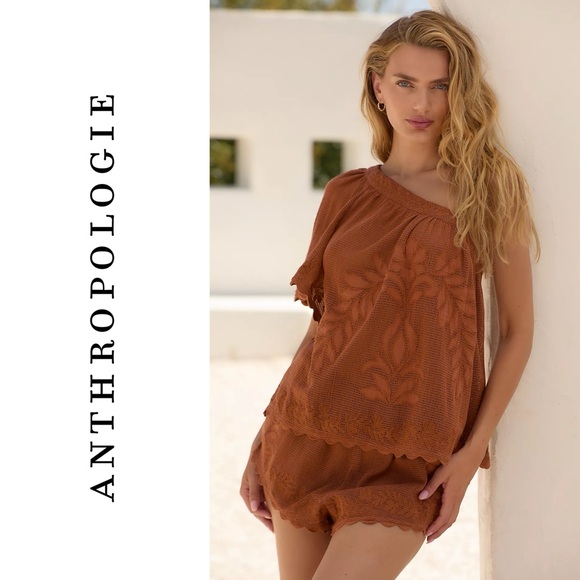 Anthropologie Mesh Lace Shorts - Picture 4 of 7